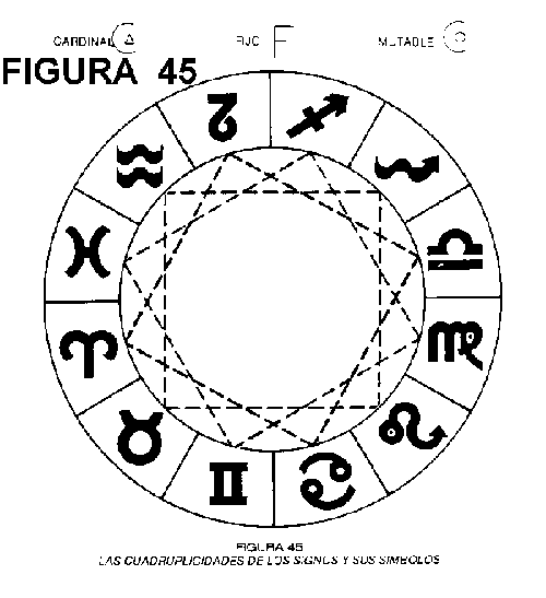 Polaridades opositoras de los signos