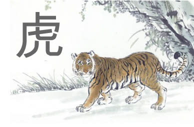El año del Tigre