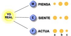 Curso de autoconocimiento