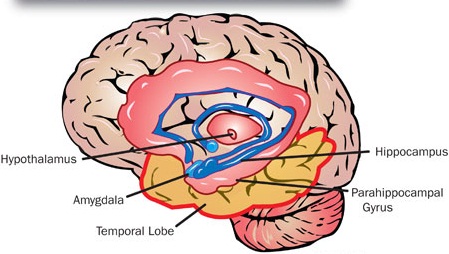 El Dejà vu o paramnesia