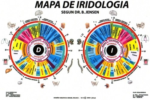 La Iridiología mapa del iris donde vemos las patologias asociadas a cada zona de nuestro ojo