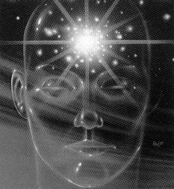 Anatomía Energética