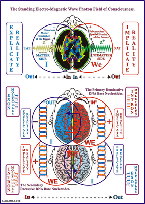 Constelaciones Familiares