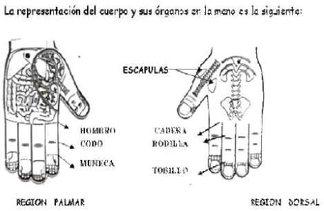 la técnica del holograma