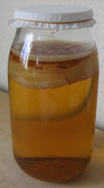 El té de kombucha