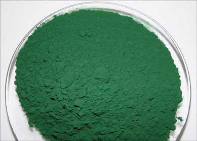 Spirulina, baje de peso y nutra su cuerpo