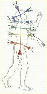 Primer Chakra. Glándulas corticoadrenales