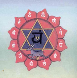 Cuarto Chakra. Timo