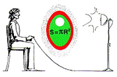 La Técnica Fosfénica