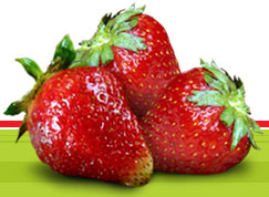 Fresas